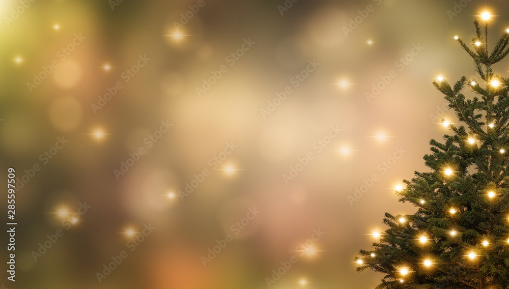 weihnachtsbaum vor abstraktem hintergrund weihnachtsbaum vor abstraktem hintergrund