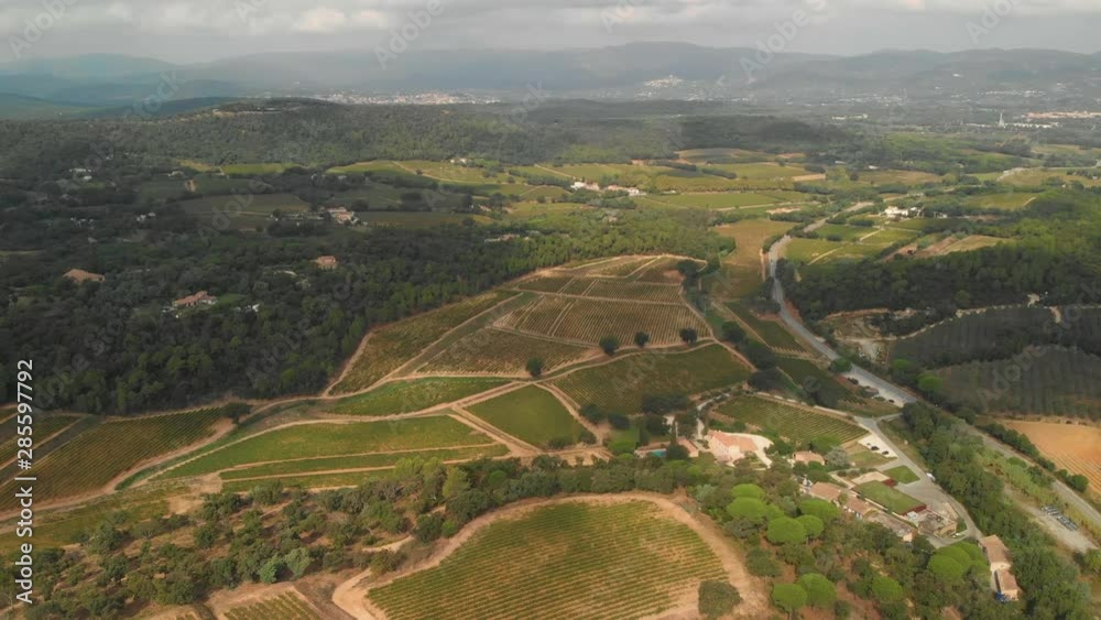 Aerial view of a beautiful vineyard at the town of Gassin, Provence, south of France.