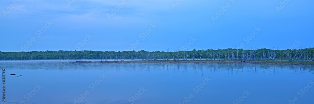Fototapeta premium 野付半島ナラワラの幻想的な情景＠根室、北海道