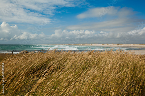 endless white sandy beach with dune grass and wooden fence in Brittany with Atlantic waves breaking on the shore