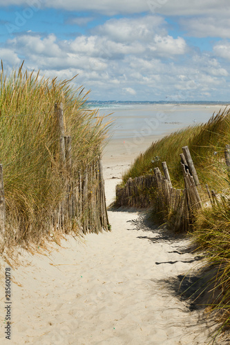 Fototapeta Naklejka Na Ścianę i Meble -  a sandy path leads trough dune grass to a sand dune beach