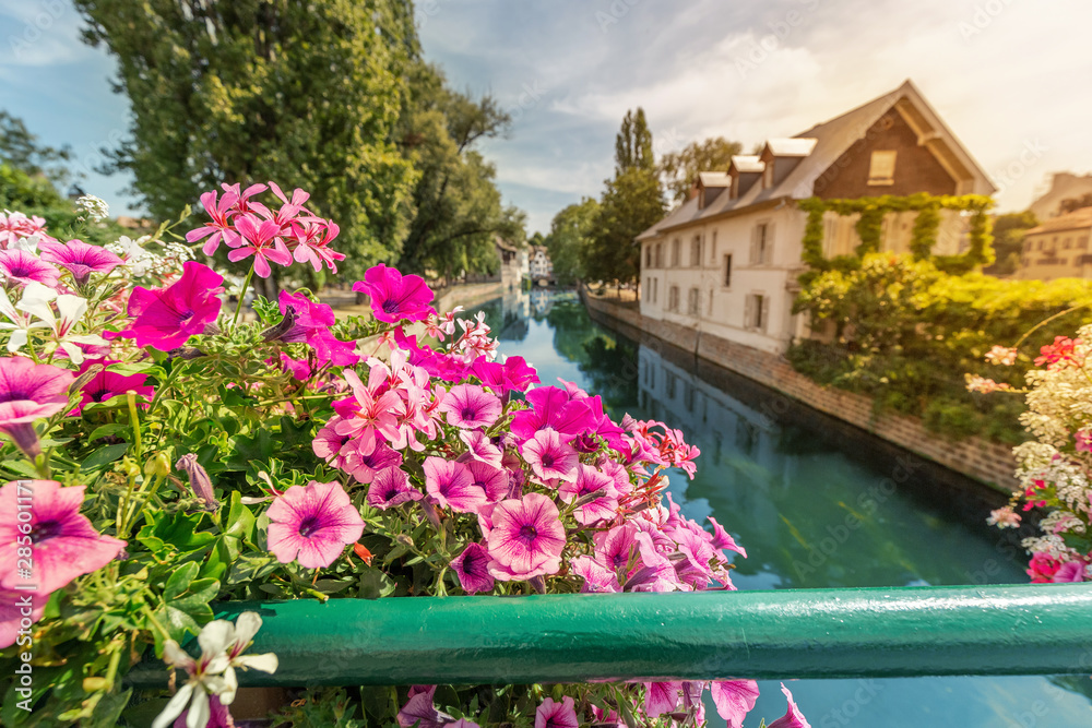 Colorful and fabulous landscape with decorative flowers and the river Ill and half-timbered houses in Strasbourg, France