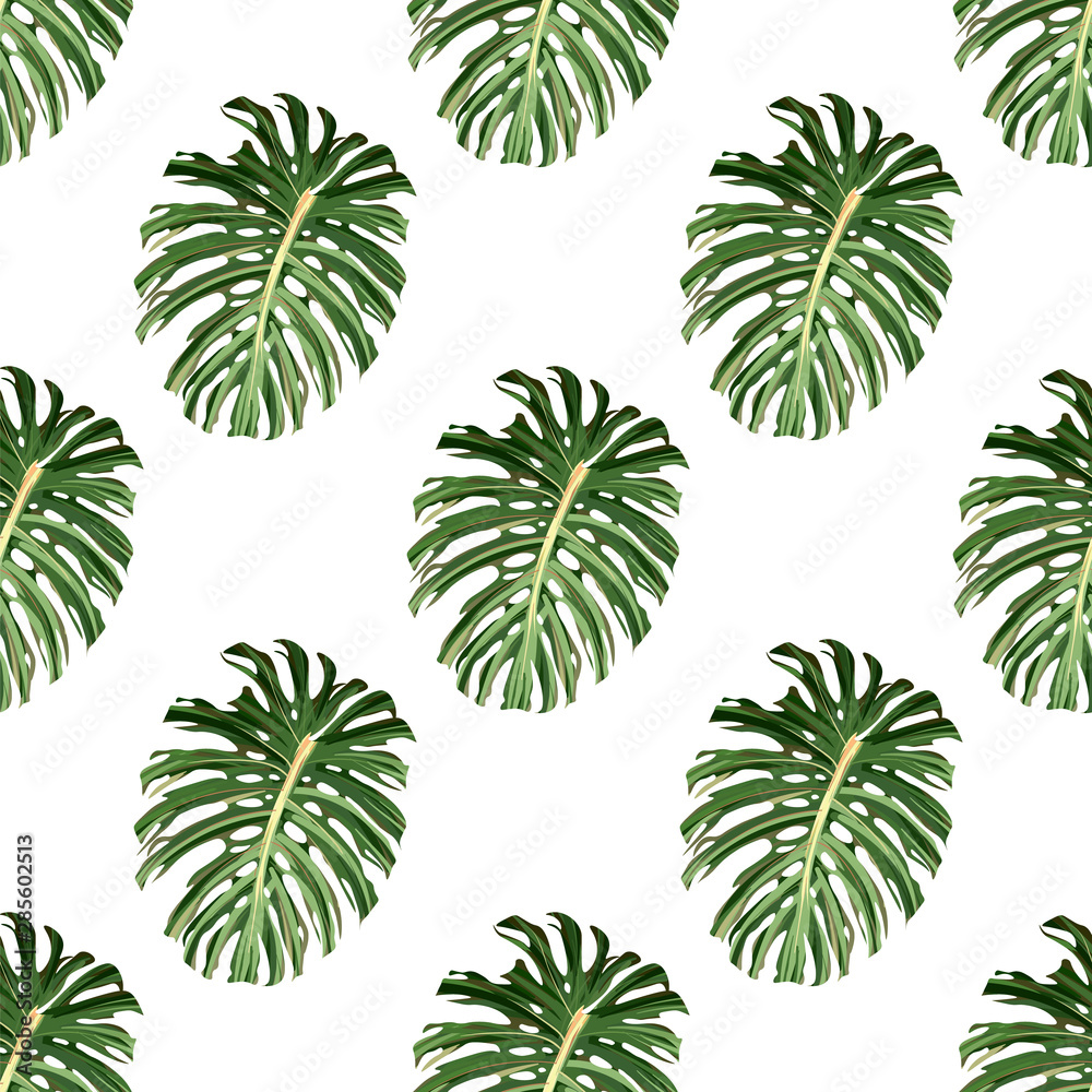 Hibiscus pattern. Tropic palm leaf. Seamless background Hibiscus pattern. Tropic palm leaf. Seamless background