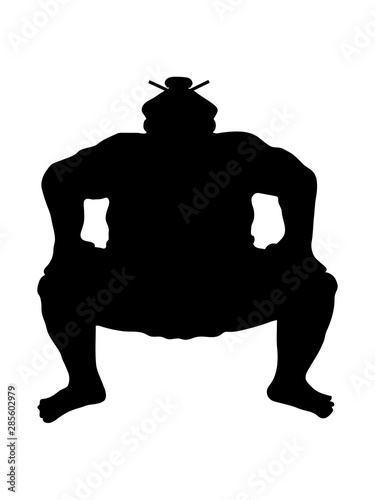 sumoringer sumo ringer asiatisch japanisch sport ringen pose kämpfen hocke dick fett cool lustig silhouette stark kämpfen chinesisch groß design clipart photo