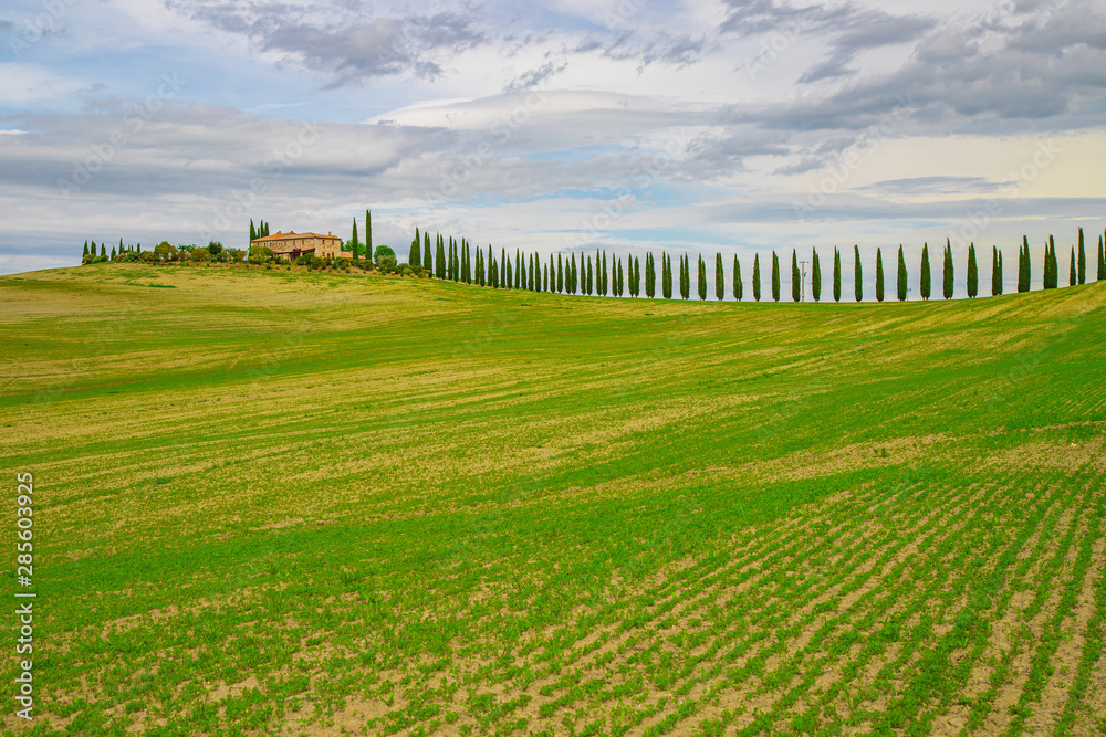 Fototapeta premium トスカーナの風景