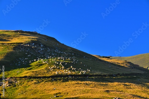 rural landscape Apuseni mountains © sebi_2569