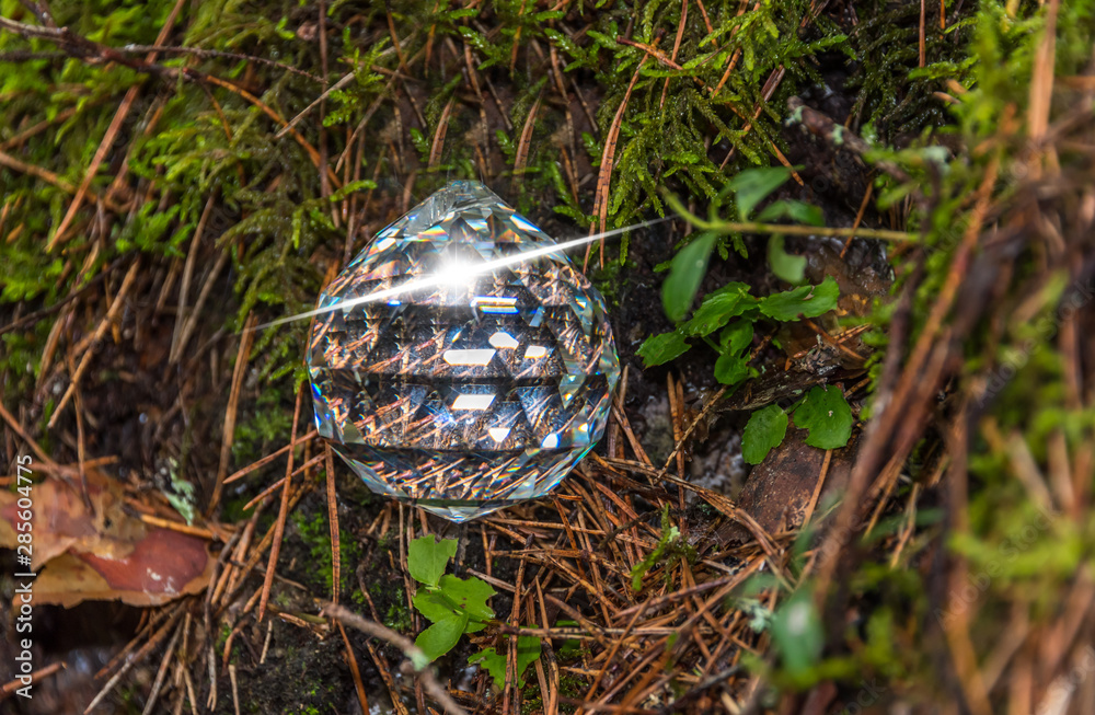 Faceted Crystal in a Forest in Latvia Faceted Crystal in a Forest in Latvia