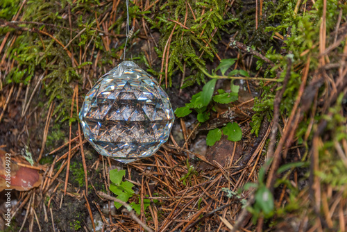 Faceted Crystal in a Forest in Latvia