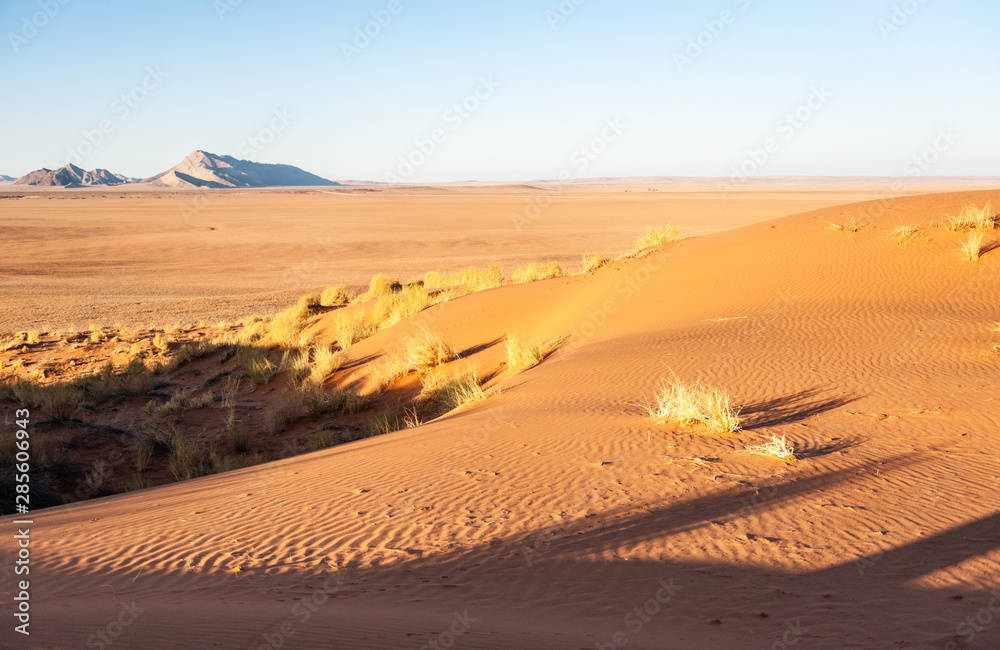 The rising sun is casting long shadows across the Dune Landscape of the Khomas Region in Central Western Namibia.
