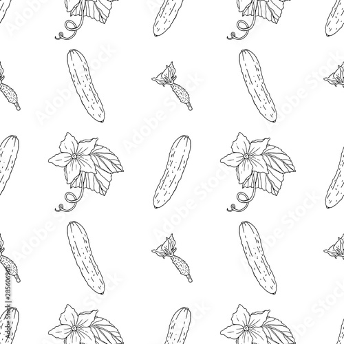 Seamless pattern with black and white contour cucumbers, cucumber flowers and leaves for your design. Vegetable outline elements on white background
