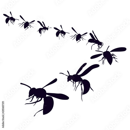  isolated, silhouette of a wasp, bees fly on a white background © zolotons