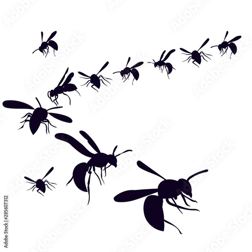 silhouette of a wasp, bees fly on a white background © zolotons