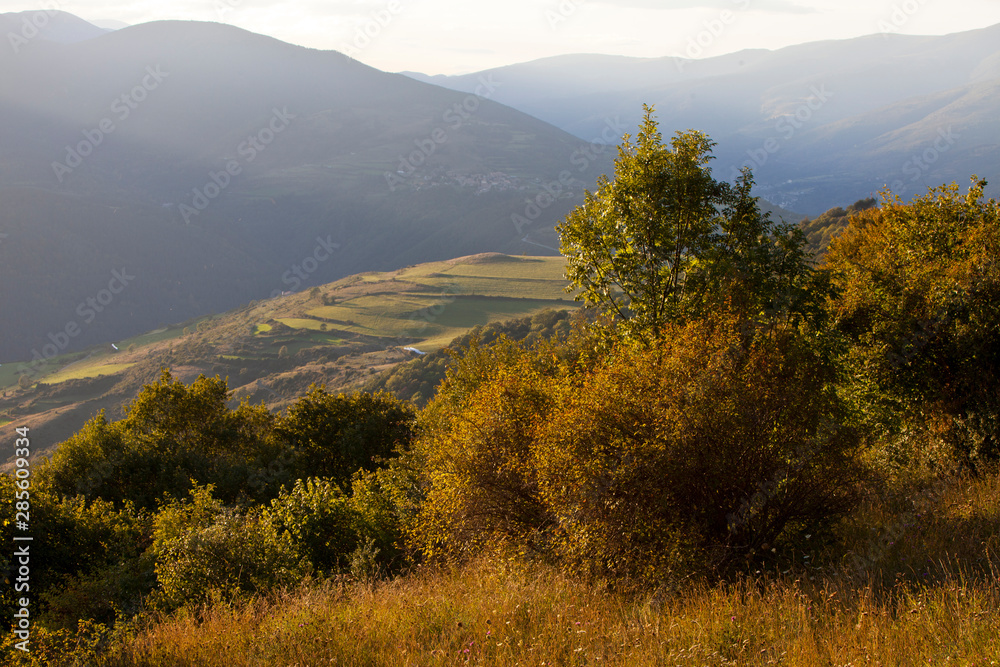 Obraz premium Paisaje otoñal