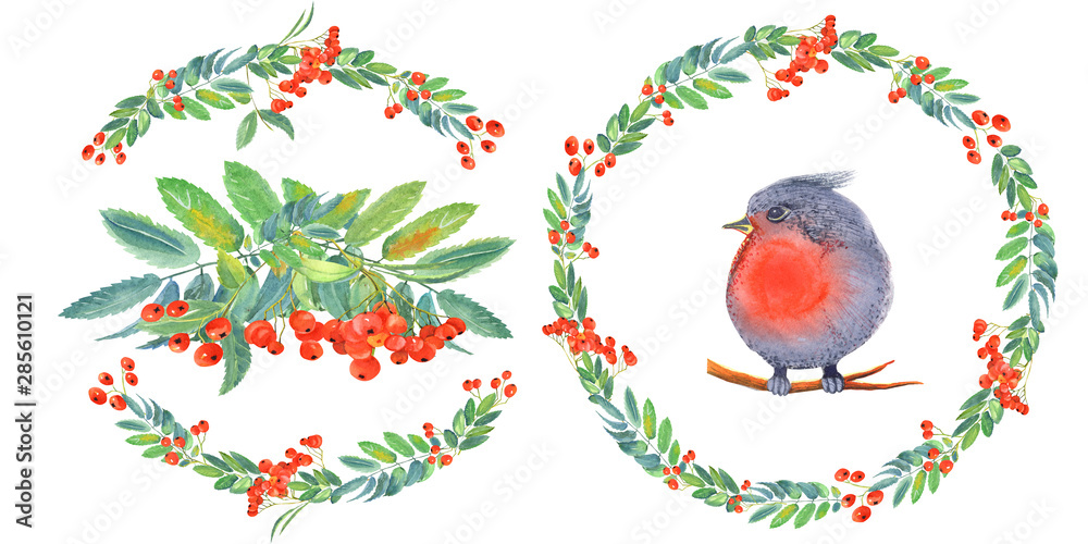 Wreath with red branches rowan berrys and leaves,  bird, floral elements on a white background.   Hand painted in watercolor.