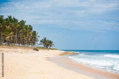Beautiful untouched tropical beach with coco palm trees © ilyaska