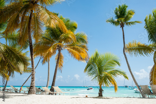 Pictorial landscape of Saona island  white sand  idyllic palms and azure Caribbean sea