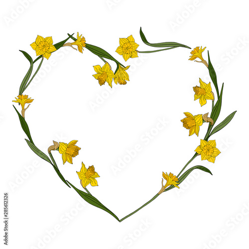 Heart frame made of yellow daffodils. Template with yellow spring flowers on white background for your season design