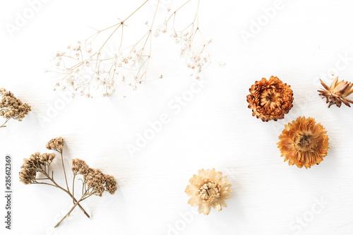 Fényképezés Dry floral branch and buds on white background