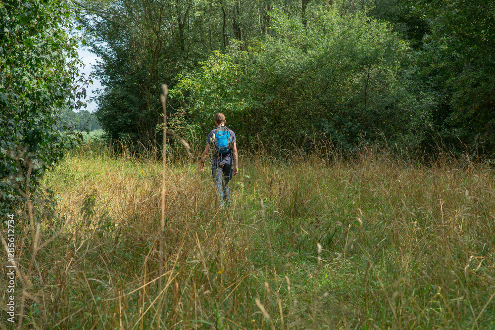 Man with backpack hikes through forest field in summer.