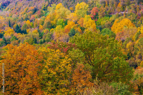 The colors of autumn in the Trevigiani hills