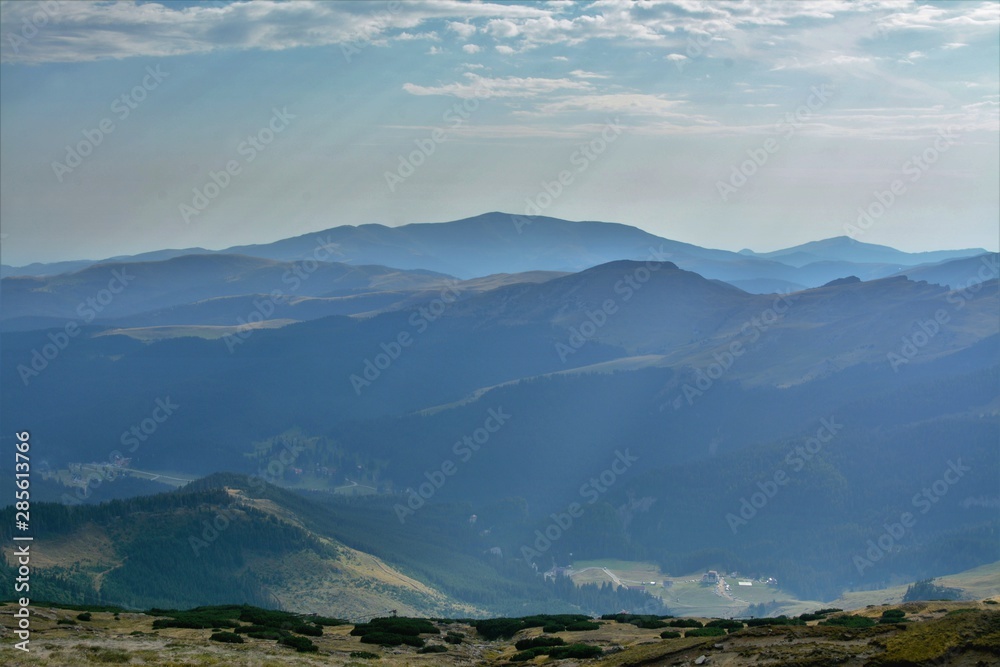 summer landscape of the Carpathian mountains