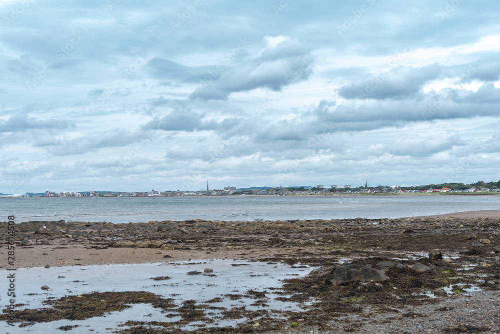 Greenan Bay Low Tide With Lichens and Seaweed over to the Town of Ayr in the Far Distance Greenan Bay Low Tide With Lichens and Seaweed over to the Town of Ayr in the Far Distance