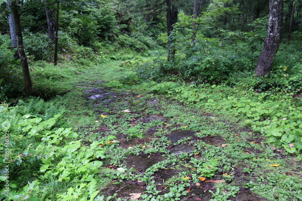 Obraz premium 塩の道 千国街道の風情