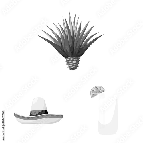 Vector illustration of fajita and fiesta symbol. Set of fajita and celebration stock symbol for web.