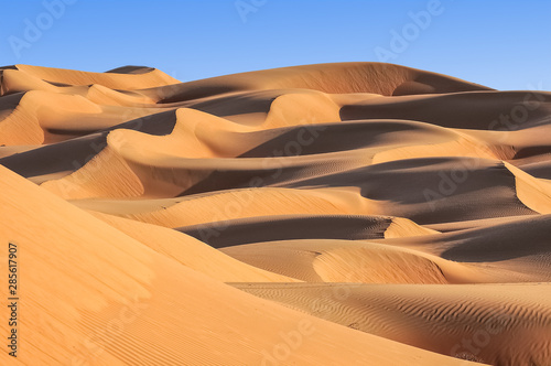 Fototapeta Naklejka Na Ścianę i Meble -  Sand dunes in the desert of Oman