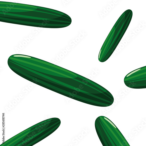 cucumbers fresh vegetable white background