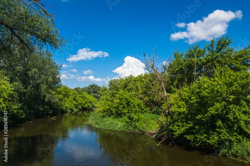 Bzura river at sunny day near Sochaczew, Poland