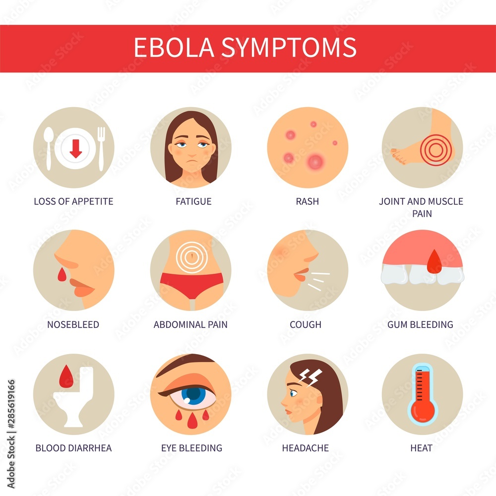 Infographics of ebola. Symptoms of disease. Vector signs Infographics