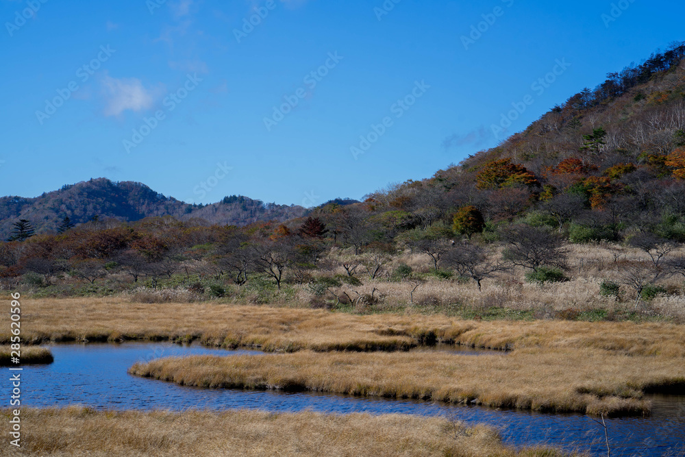 秋の高原