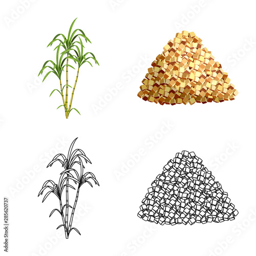 Vector illustration of farm and agriculture icon. Collection of farm and technology stock vector illustration.
