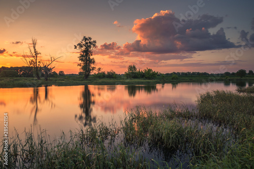 Obraz na płótnie Sunset over the Bzura river near Kamion, Masovia, Poland w salonie