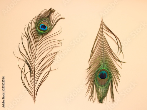 Clothing and home decoration. Peacock's feathers on light pink background. Top view with copy space.
