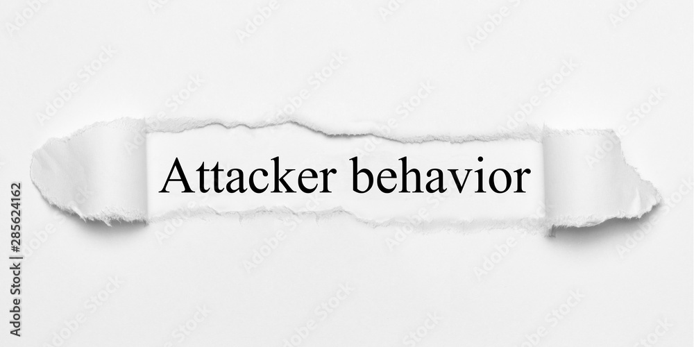 Obraz premium Attacker behavior 