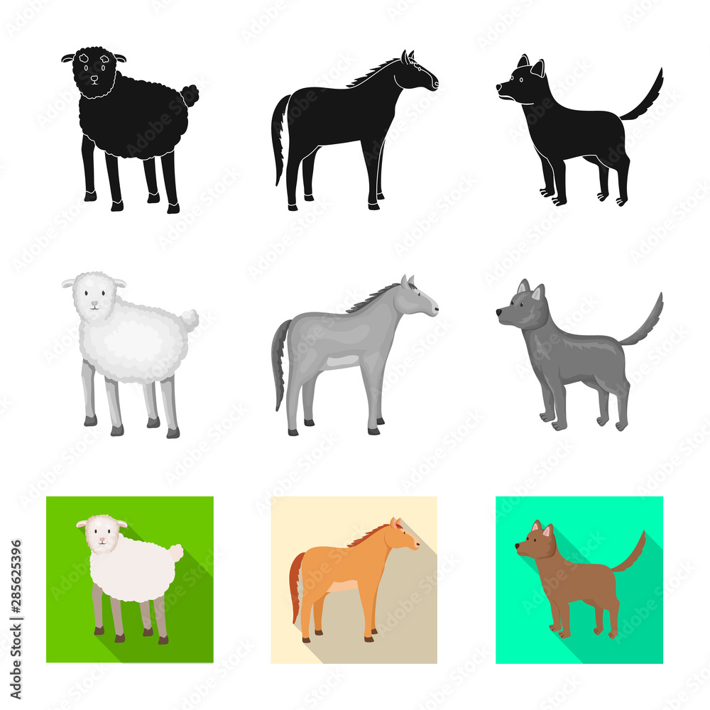 Vector illustration of breeding and kitchen icon. Set of breeding and organic vector icon for stock. Vector illustration of breeding and kitchen icon. Set of breeding and organic vector icon for stock.