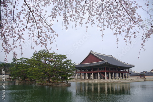 Wallpaper Mural 경복궁. 경회루. Torontodigital.ca