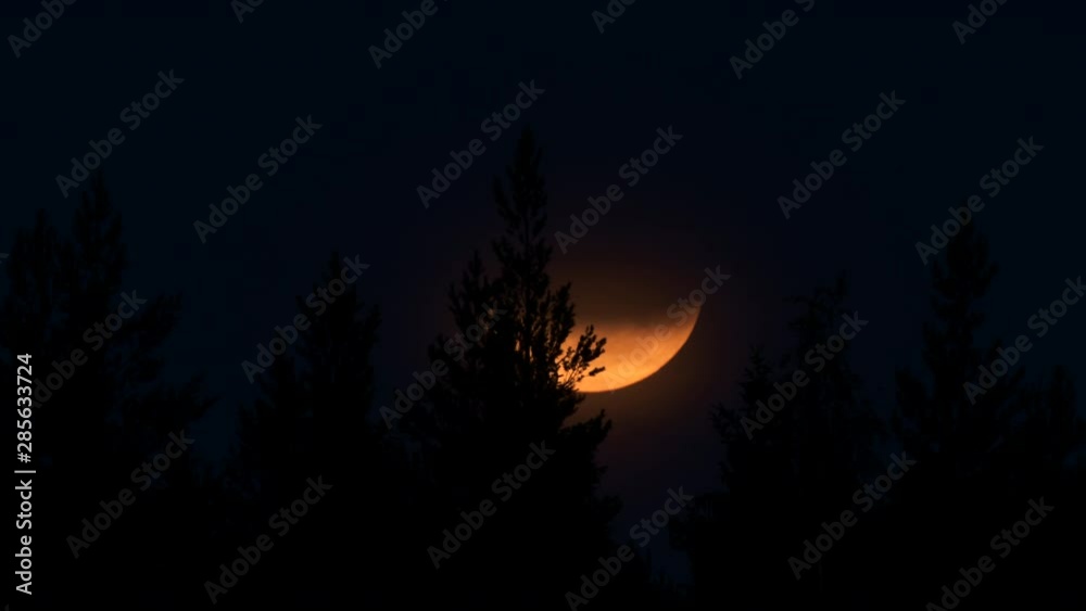 Timelapse Zoomed Close-Up Full moon moving behind coniferous tree line, also slightly behind clouds making very beautiful effect. TRIPOD shot.