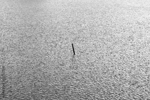 rain drop on water with wood in the pond black and white style © srckomkrit
