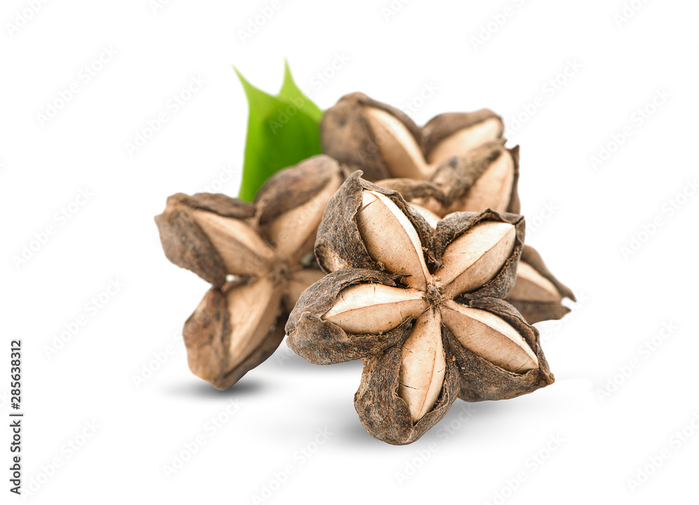 Sacha inchi peanut seed isolate on white background