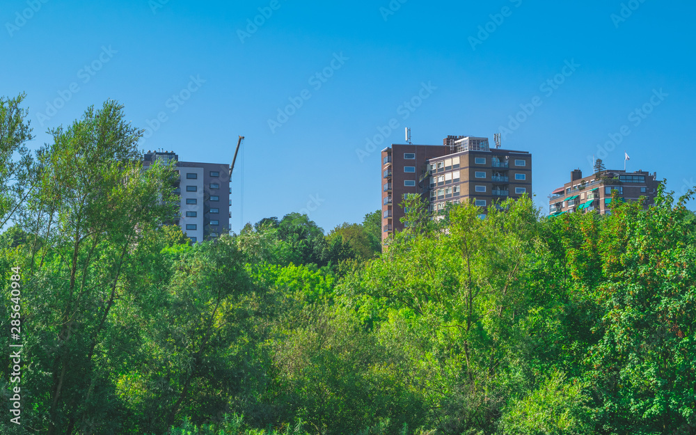 Three flat building behind forest