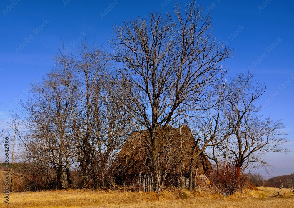 Fototapeta premium old house in the Apuseni mountains