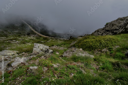 Misty fog around a little road down the mountain