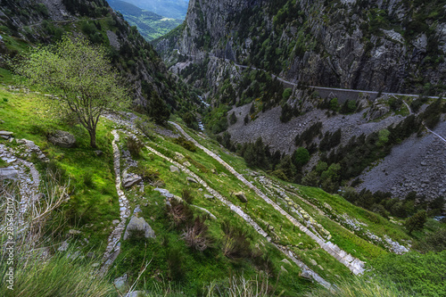 Beautiful path towards a tree, rocky mountains in the pyrenees