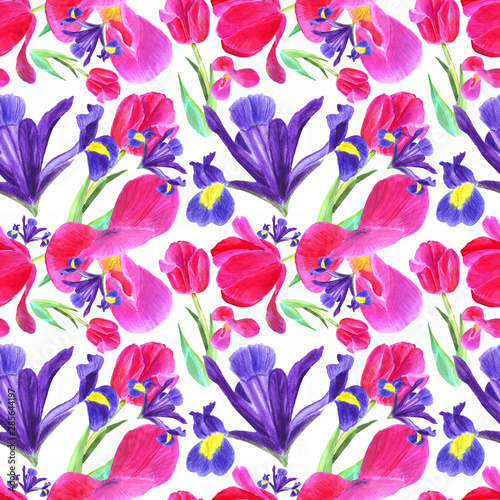 watercolor iris  tulip and leaves seamless pattern on white background