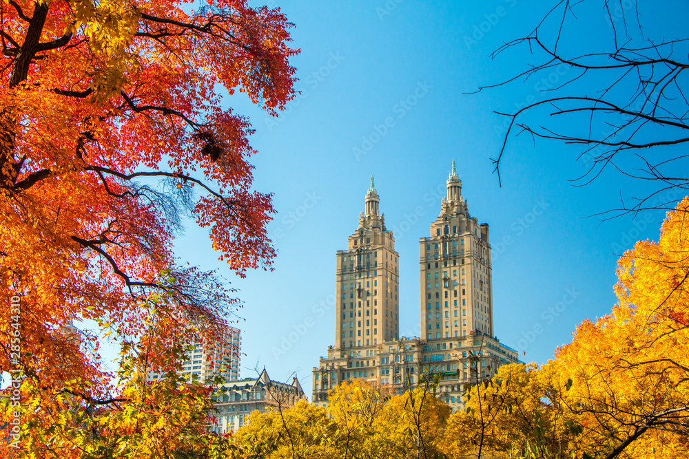 Autumn colors in Central Park with a skyscraper in the background