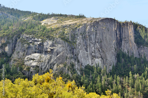Yosemite National Park  California  United States.