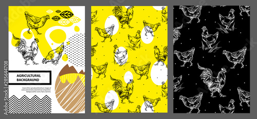 Cover of the agricultural brochure. Images of cocks and chickens. Geometrical composition.